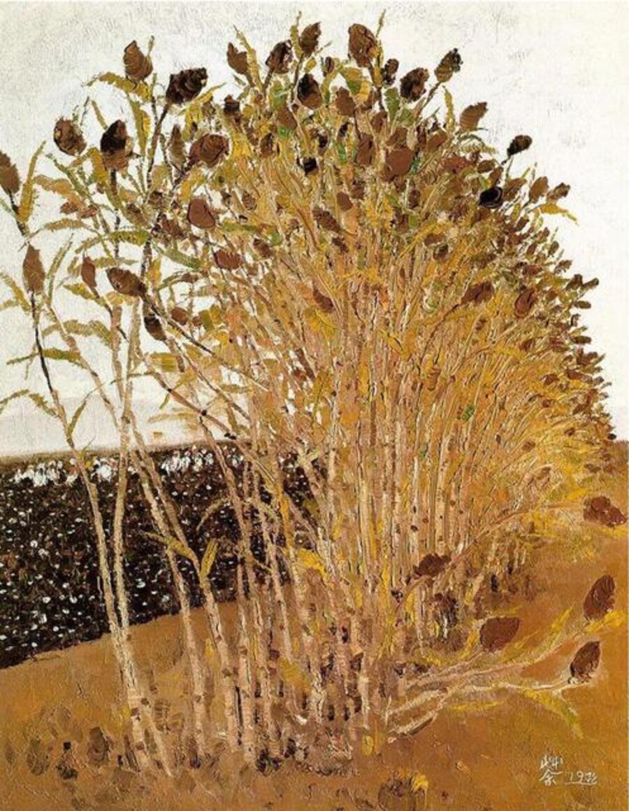 高粱与棉花 The Sorghum and the Cotton
