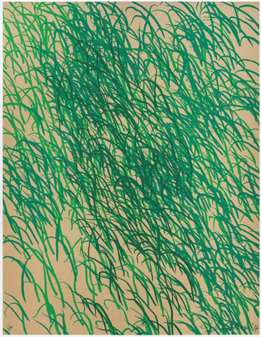 Grass