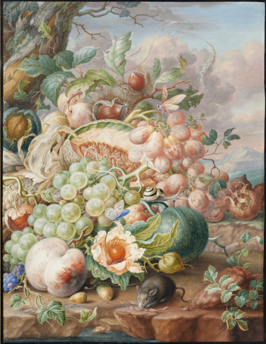 Still life with fruit and a mouse