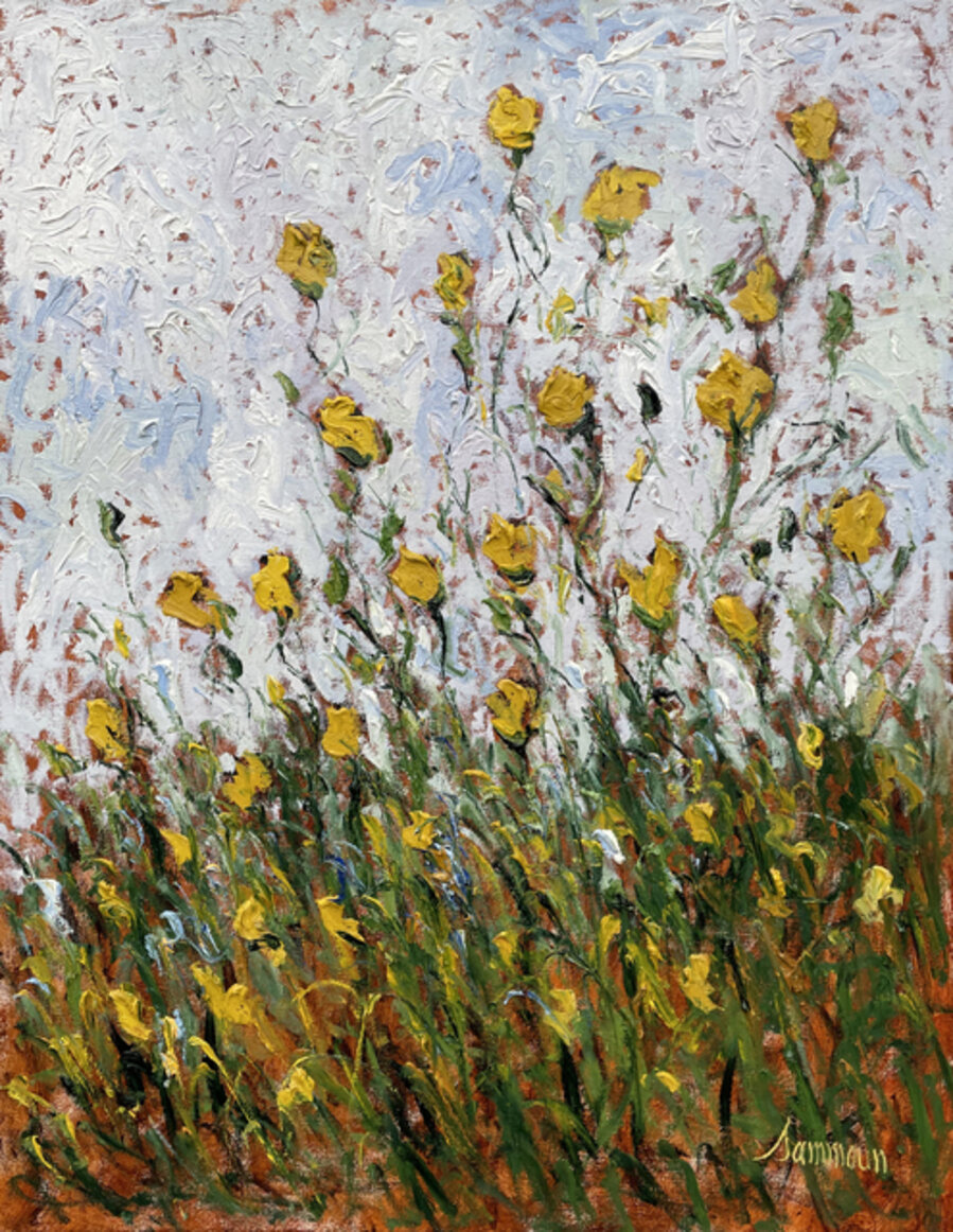 Coquelicots jaunes