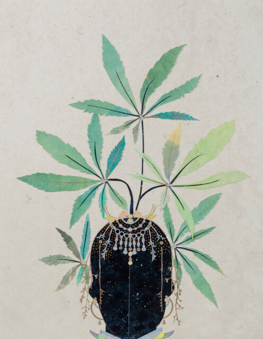 Woods Woman (Cannabis)