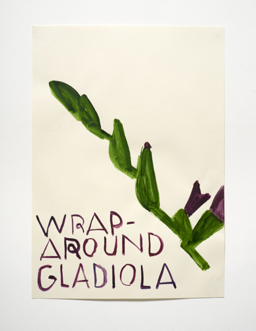 Wraparound Gladiola
