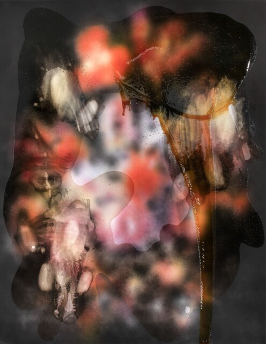 Flowers CCXXXI (231.)