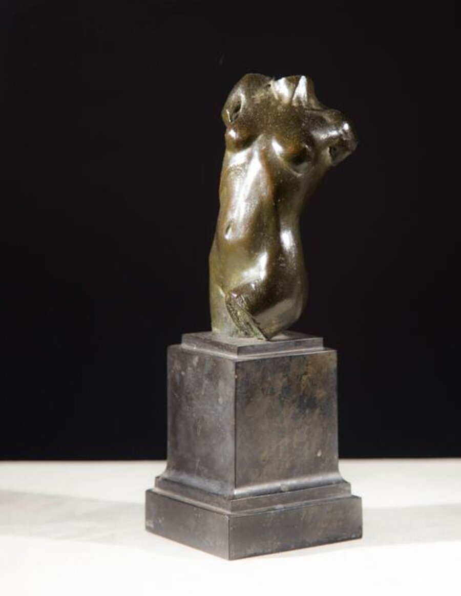 Torso