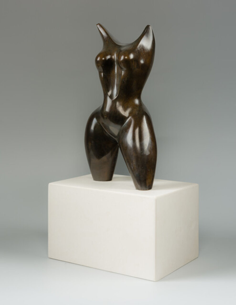 Torso