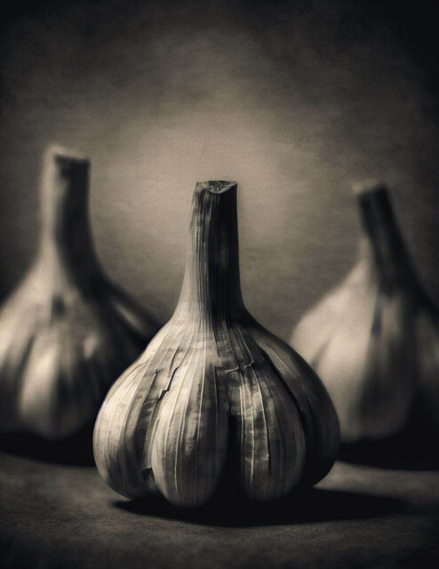 Three Garlic Bulbs (230818biaib982.1)