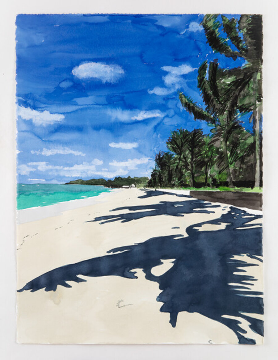 Islands 290