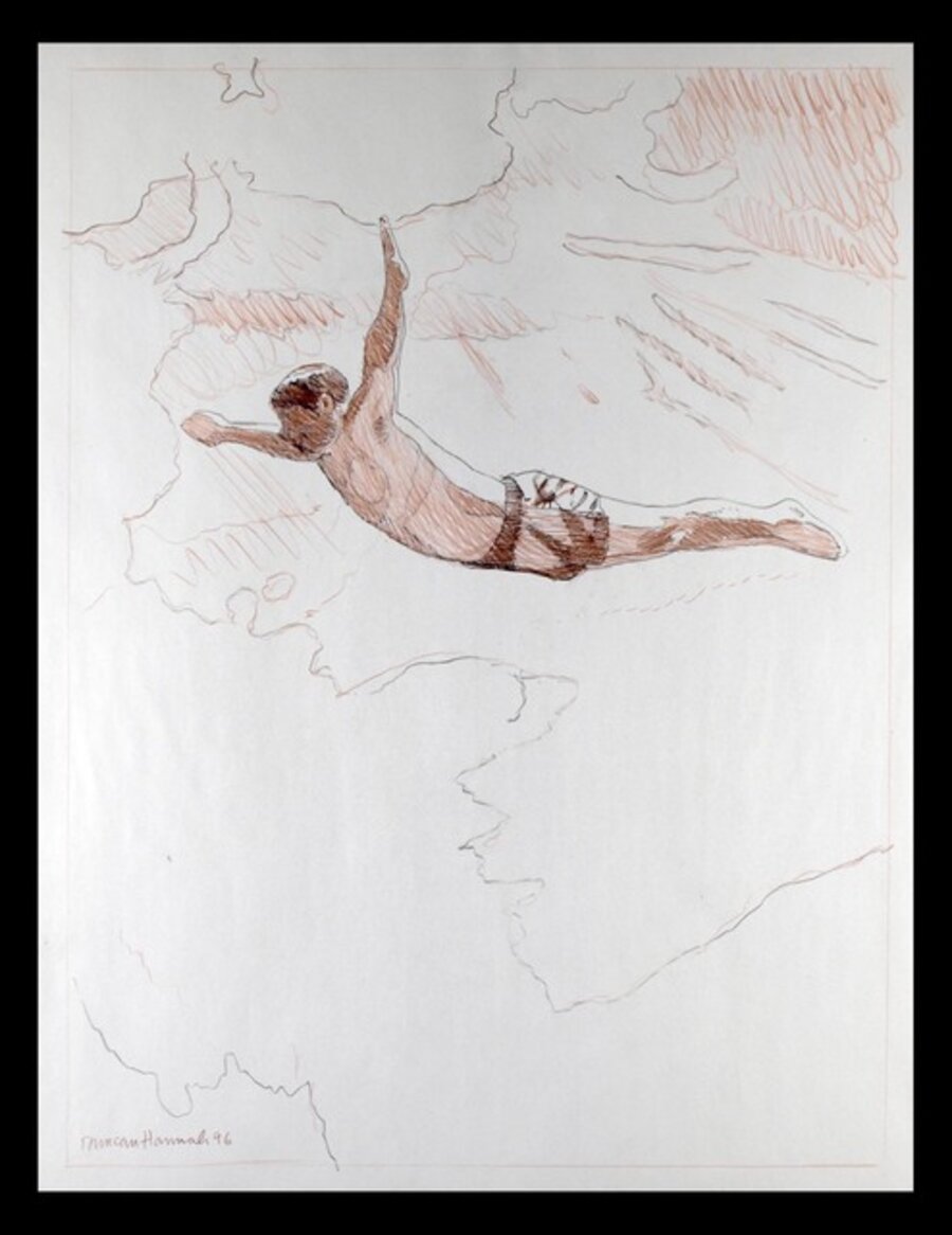 Swan Diver