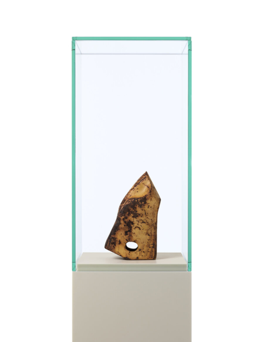 UNTITLED (TOOTH)