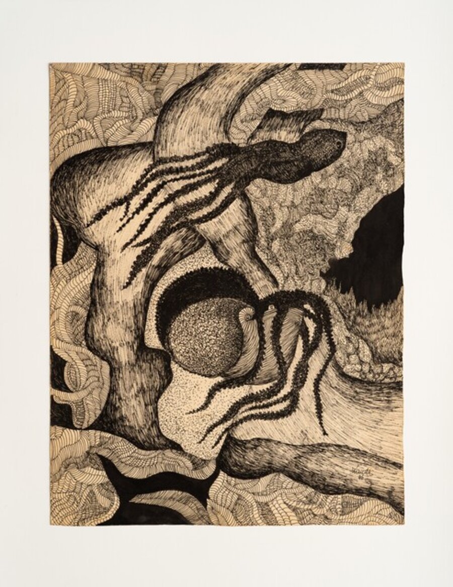 Untitled (from the Black and White Animals series)