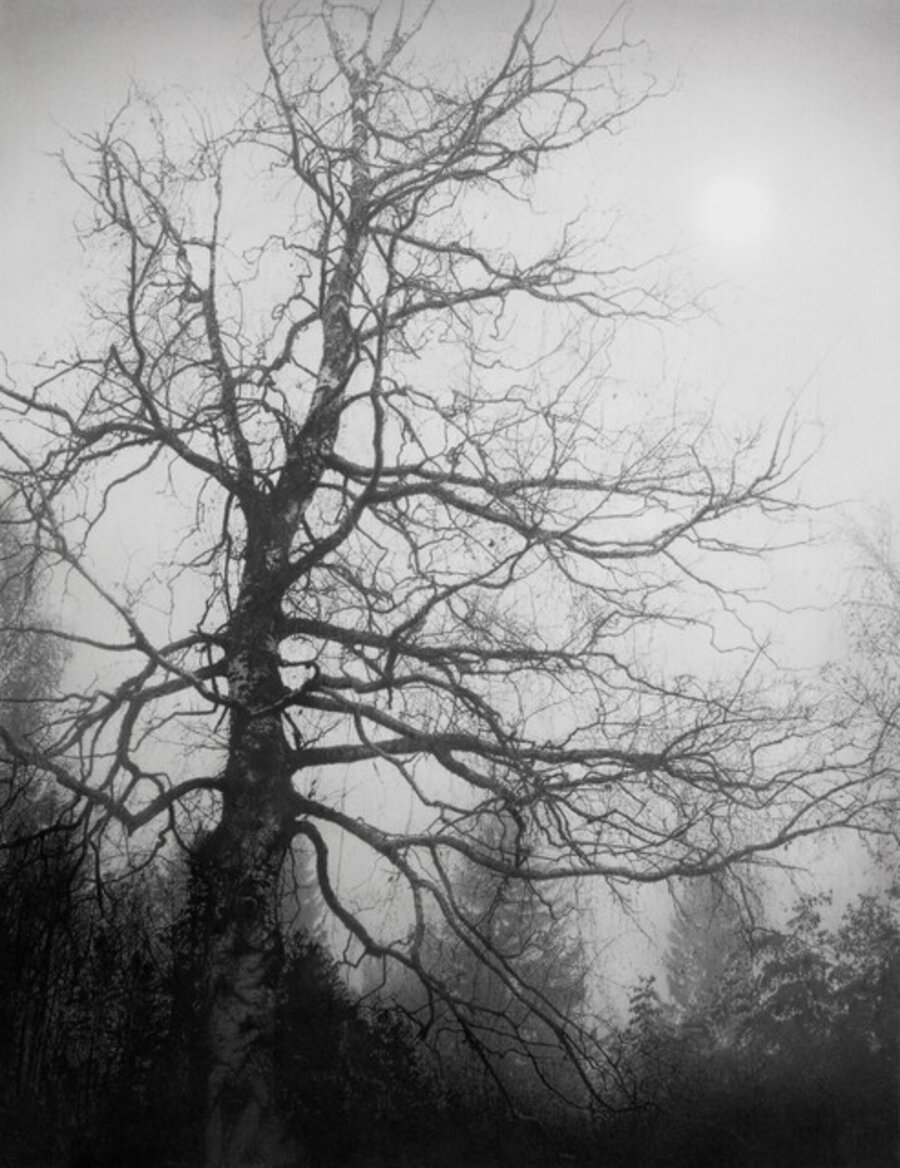 The Depth of silence