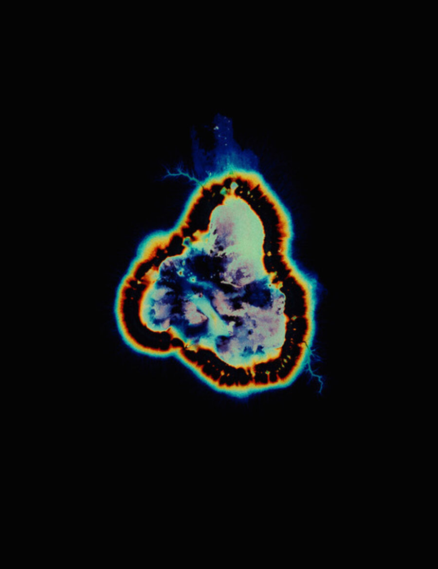 Unseen Potential (Psilocybe Tampanesis,a.1)