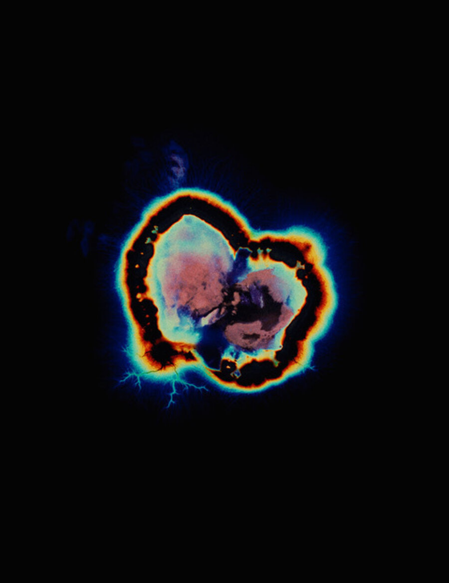 Unseen Potential (Psilocybe Utopia, a.1)
