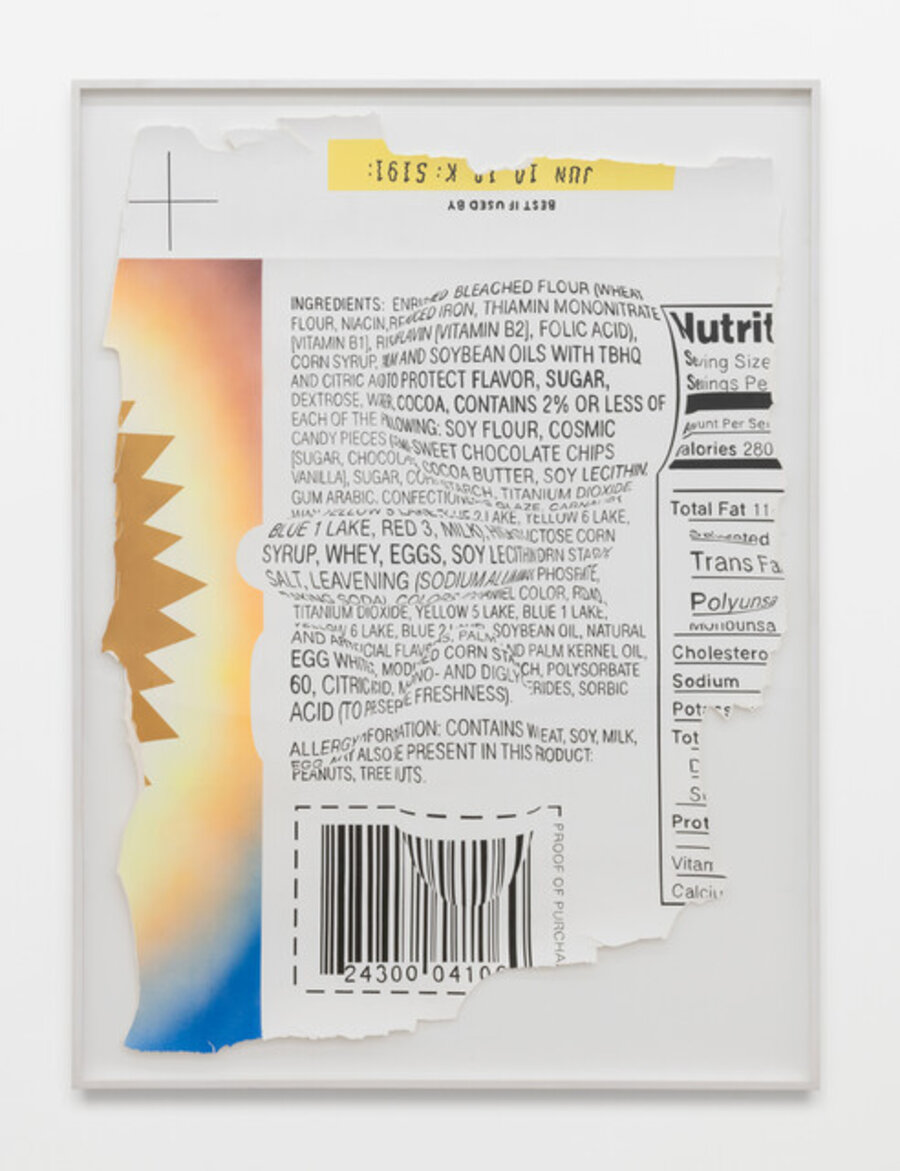 Polylumpious Tetraflacidontics (Yellow sun)
