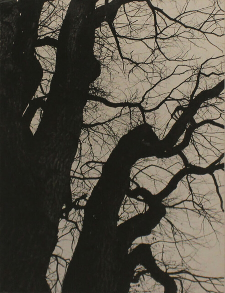 Winter Composition