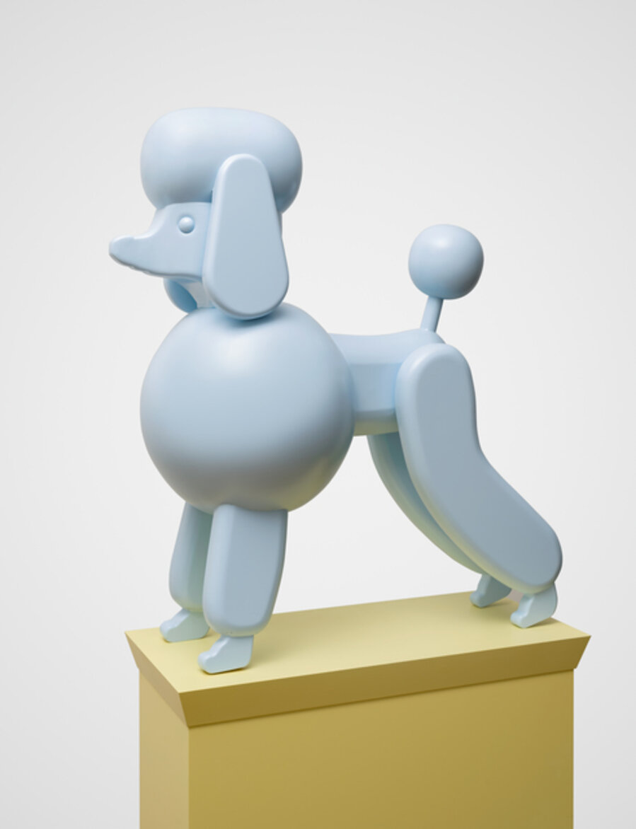 Caniche-che