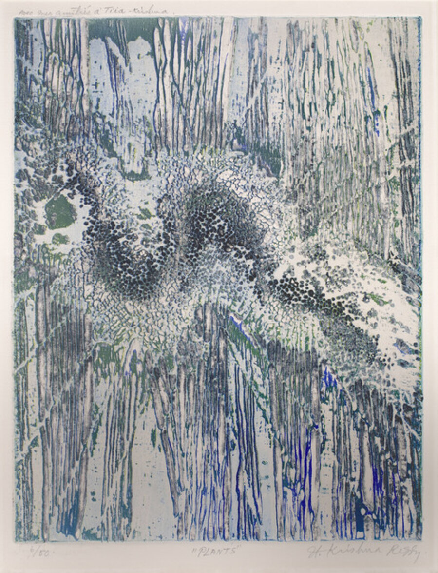 Plants