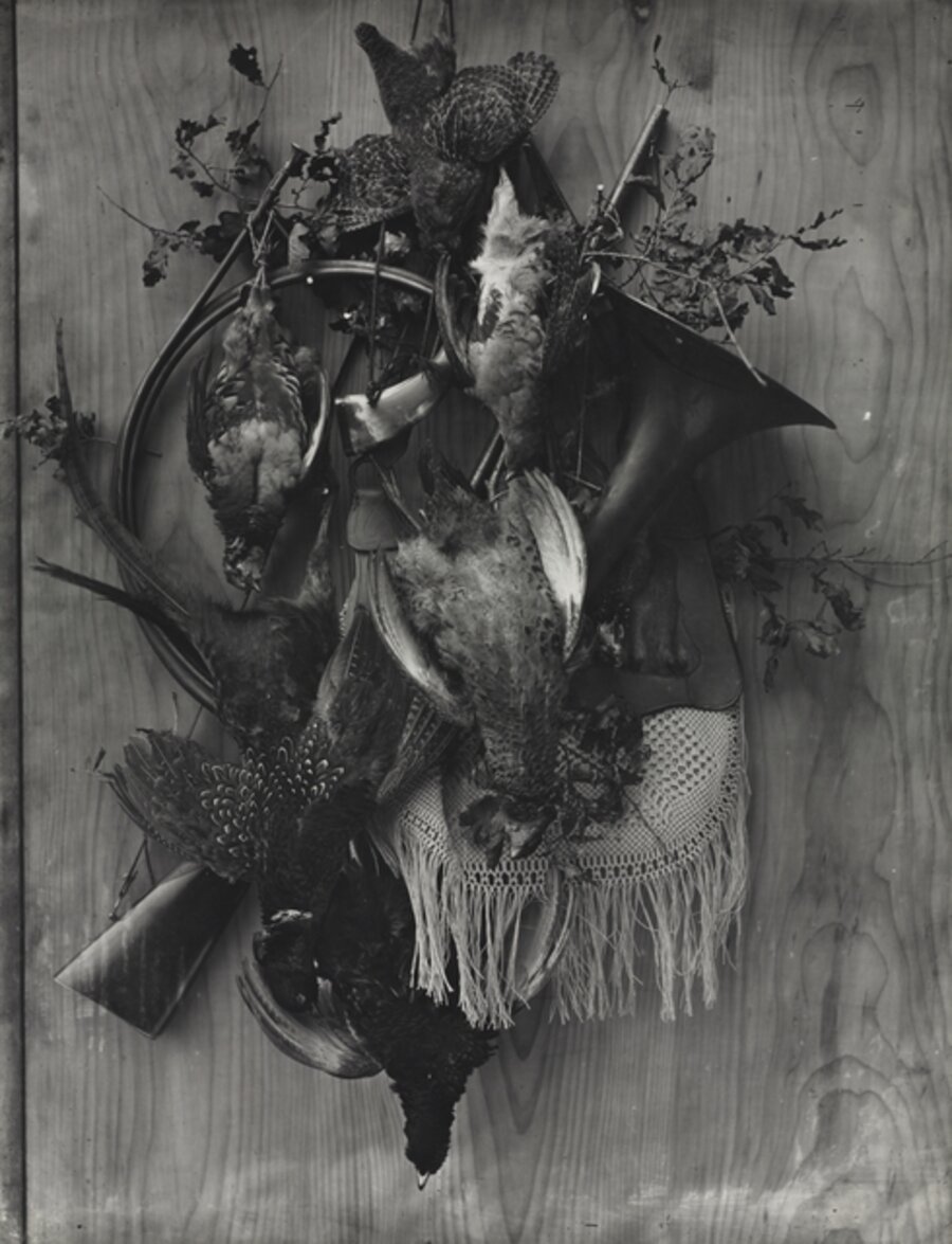 Trophy of the Hunt