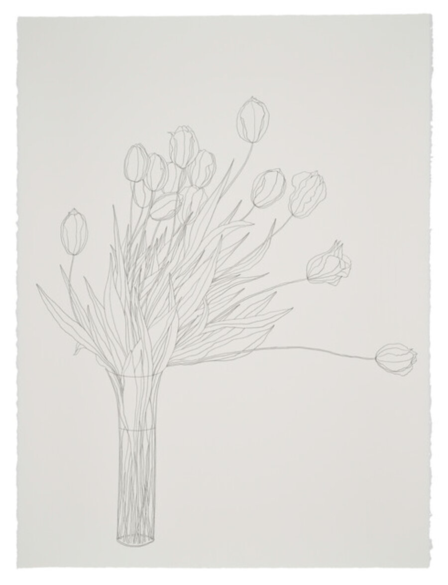 Tulips, January 15, 2025