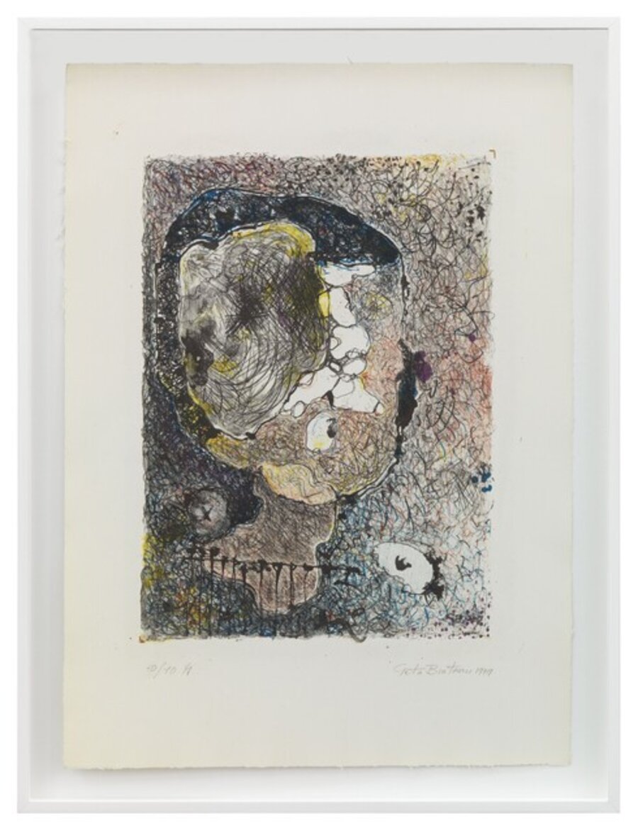 Portretele Medeei (Portraits of Medea)