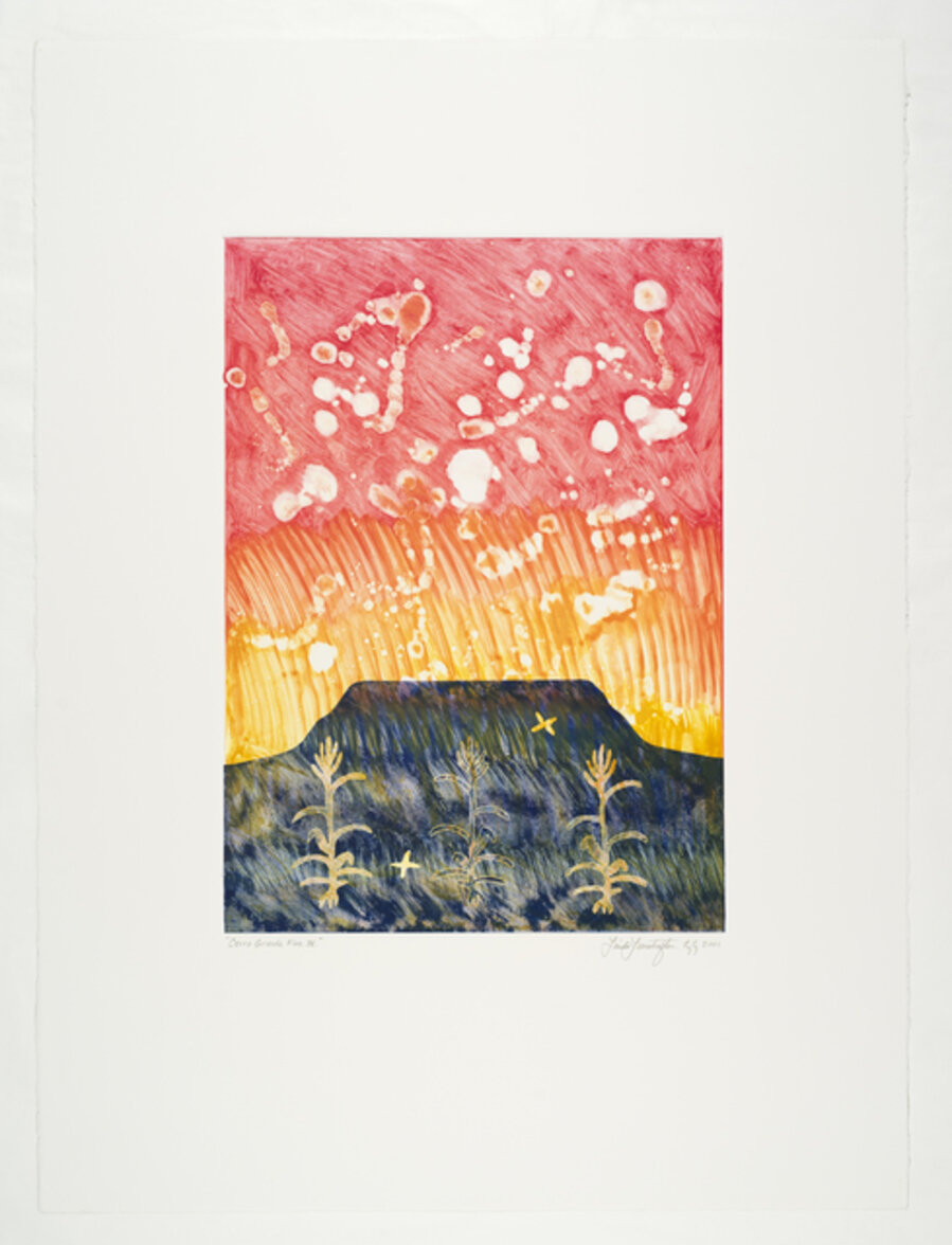 Cerro Grande Fire IV