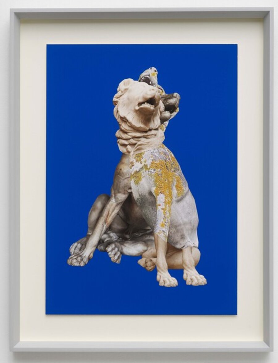 MOLOSSIAN HOUNDS
