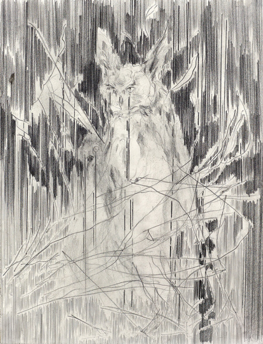 The Witnesses No. 15