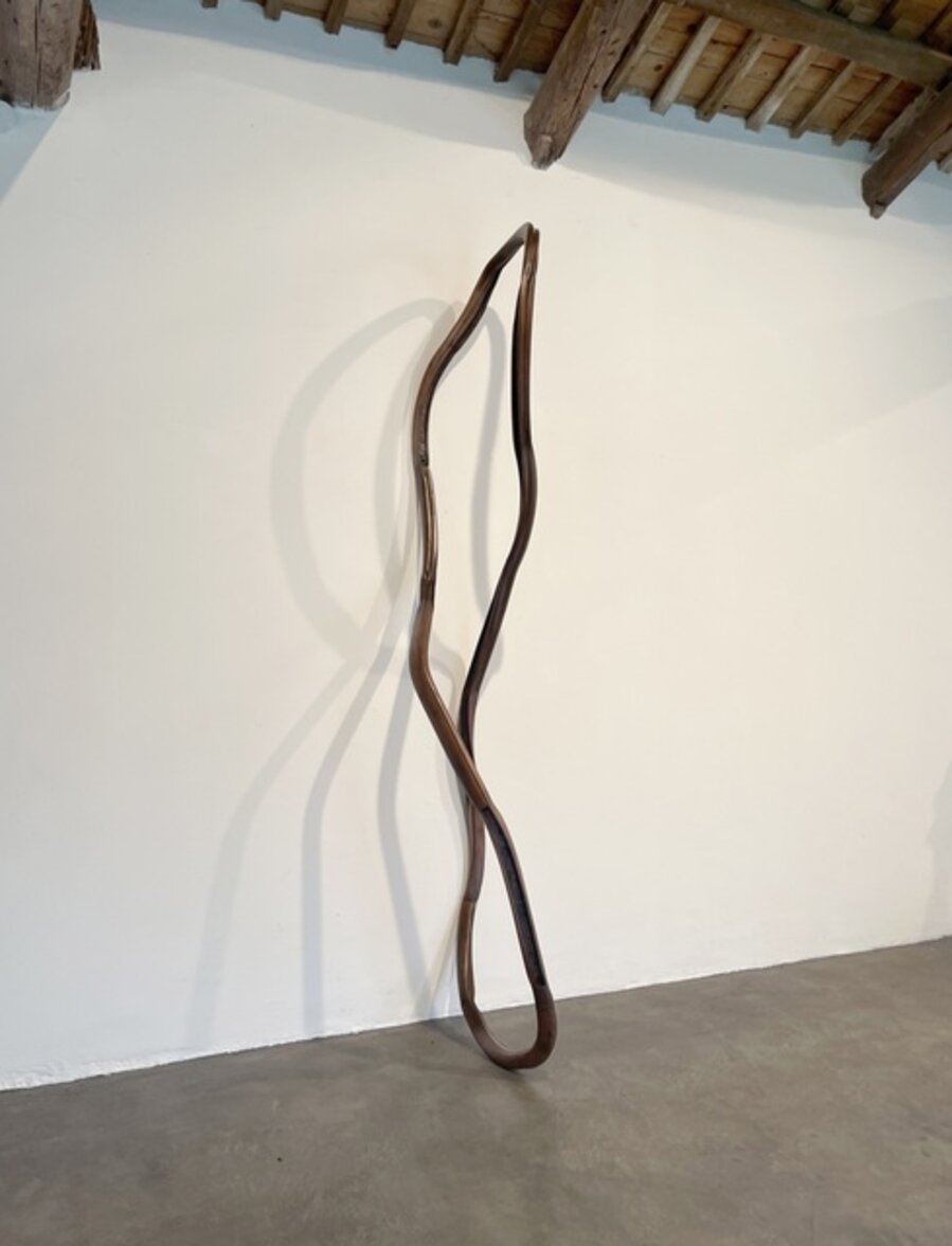 Lemniscate XVI