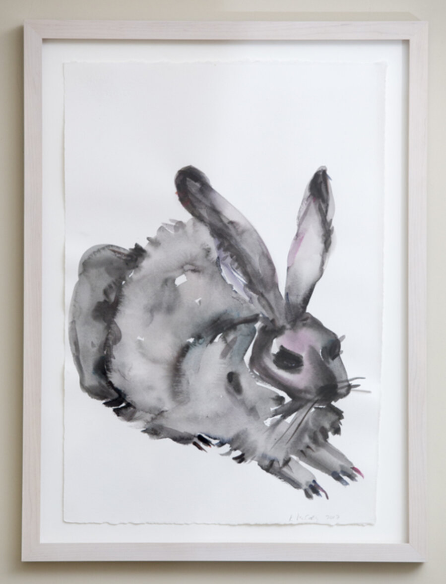Black Rabbit