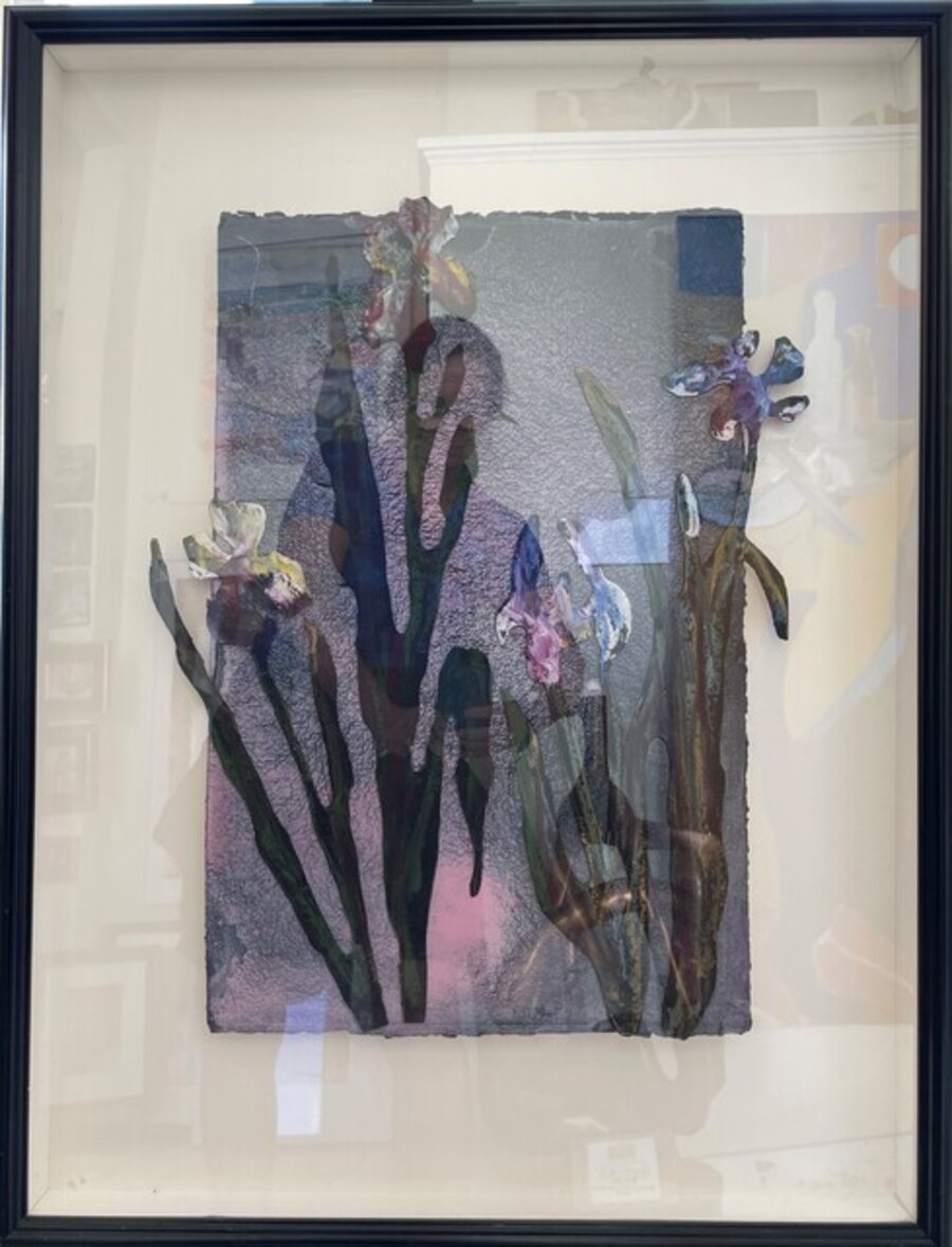 Iris