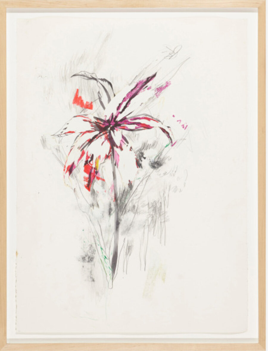 Red Flower
