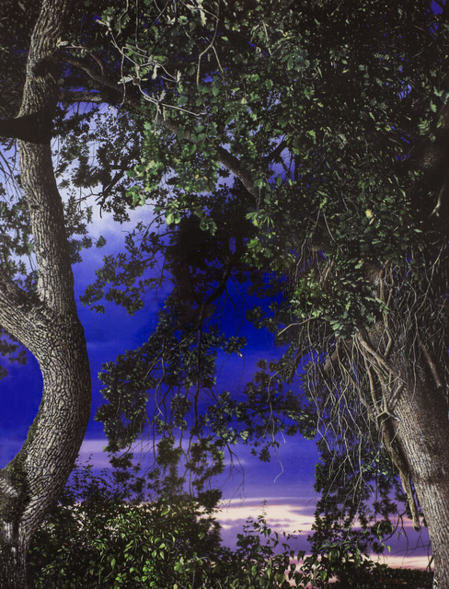 Night Scene