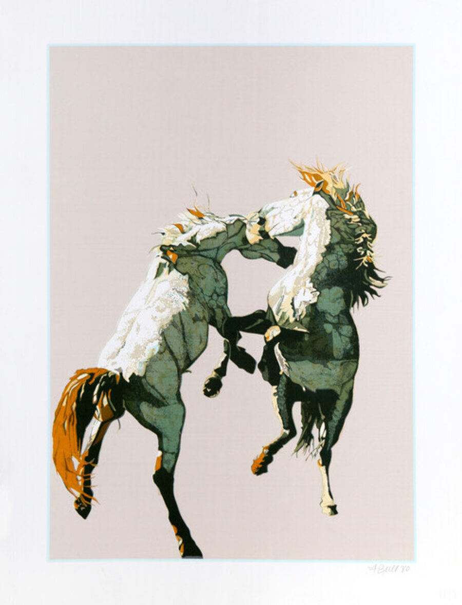 Fighting Horses