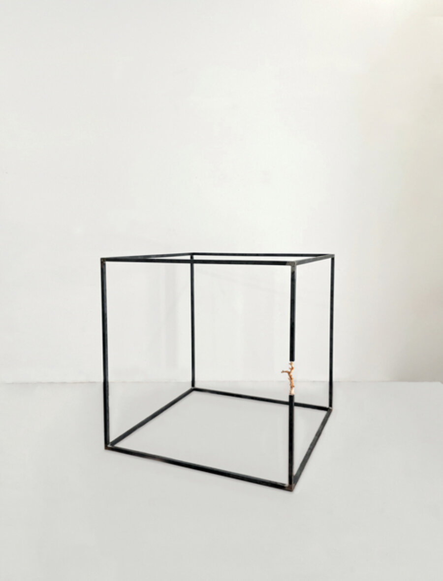 Natural History (Cubic Metre and Coral)