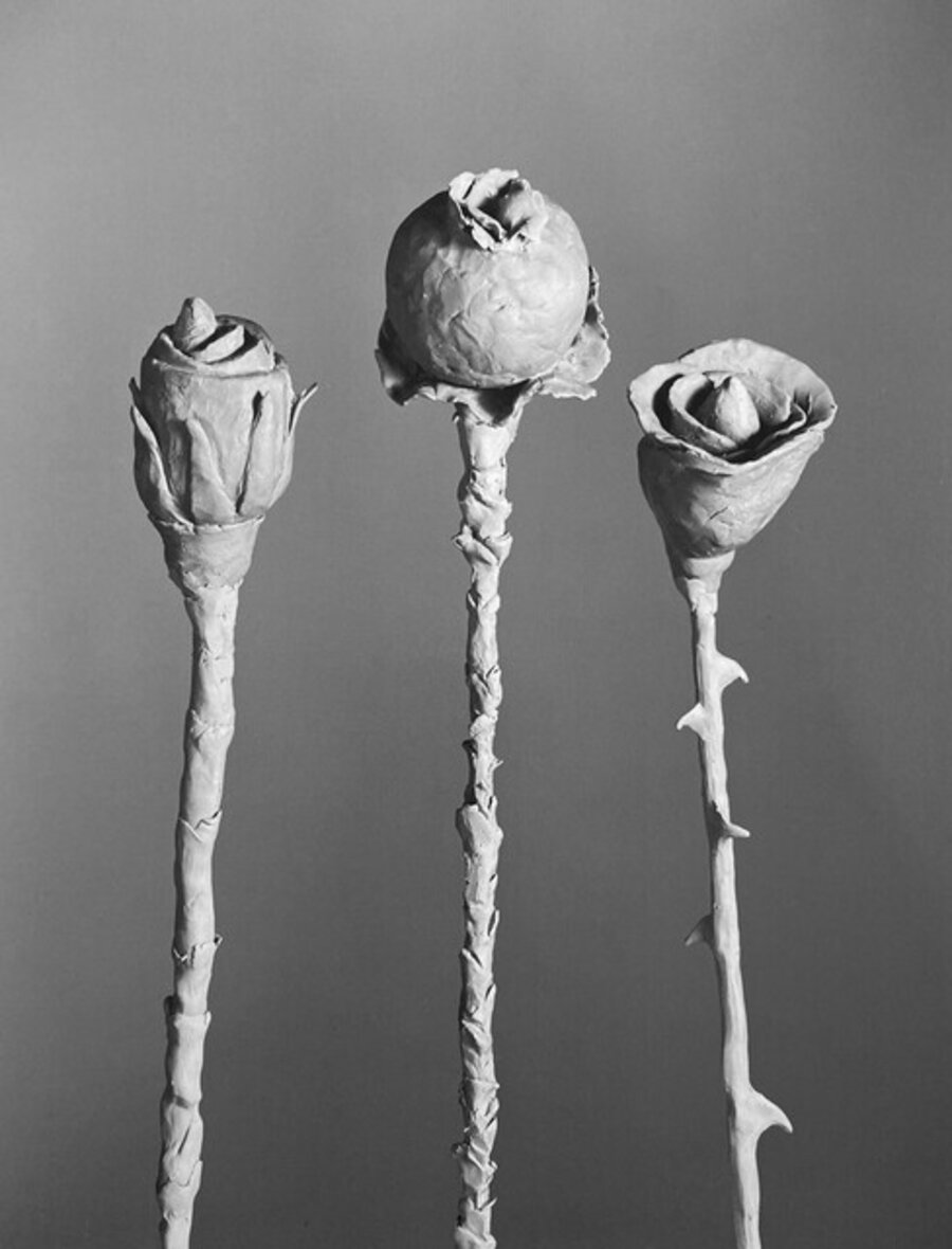 After Blossfeldt