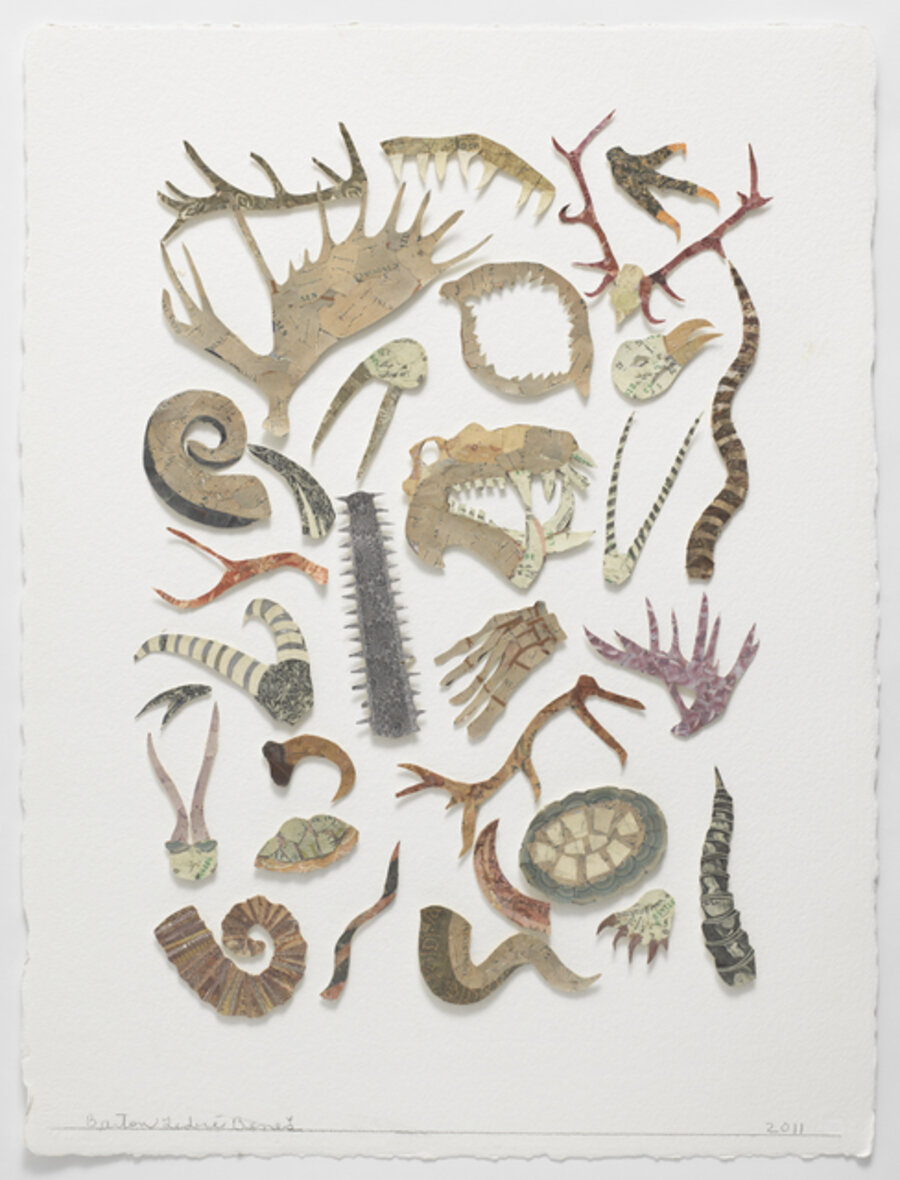 Botanica (Horns)