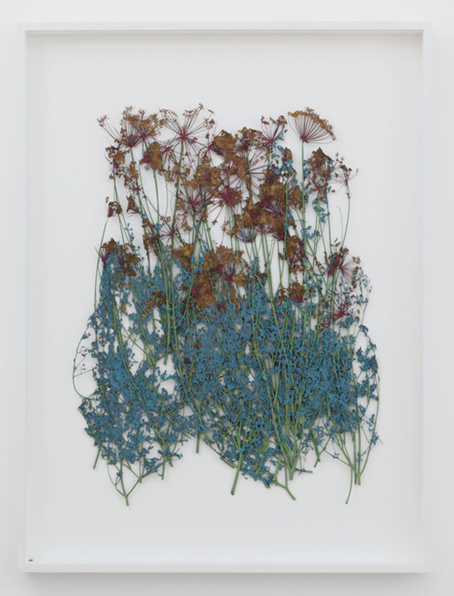 "Papiers de Provence"