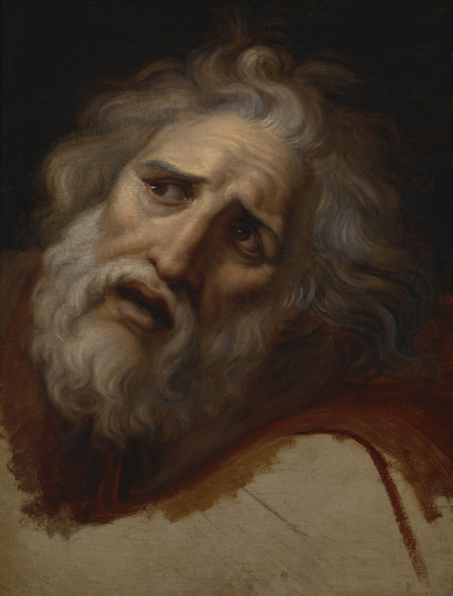 Head of Laocoön