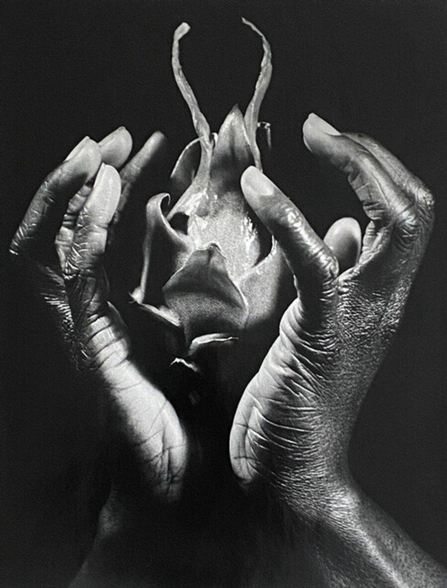 Corps et fruit 5