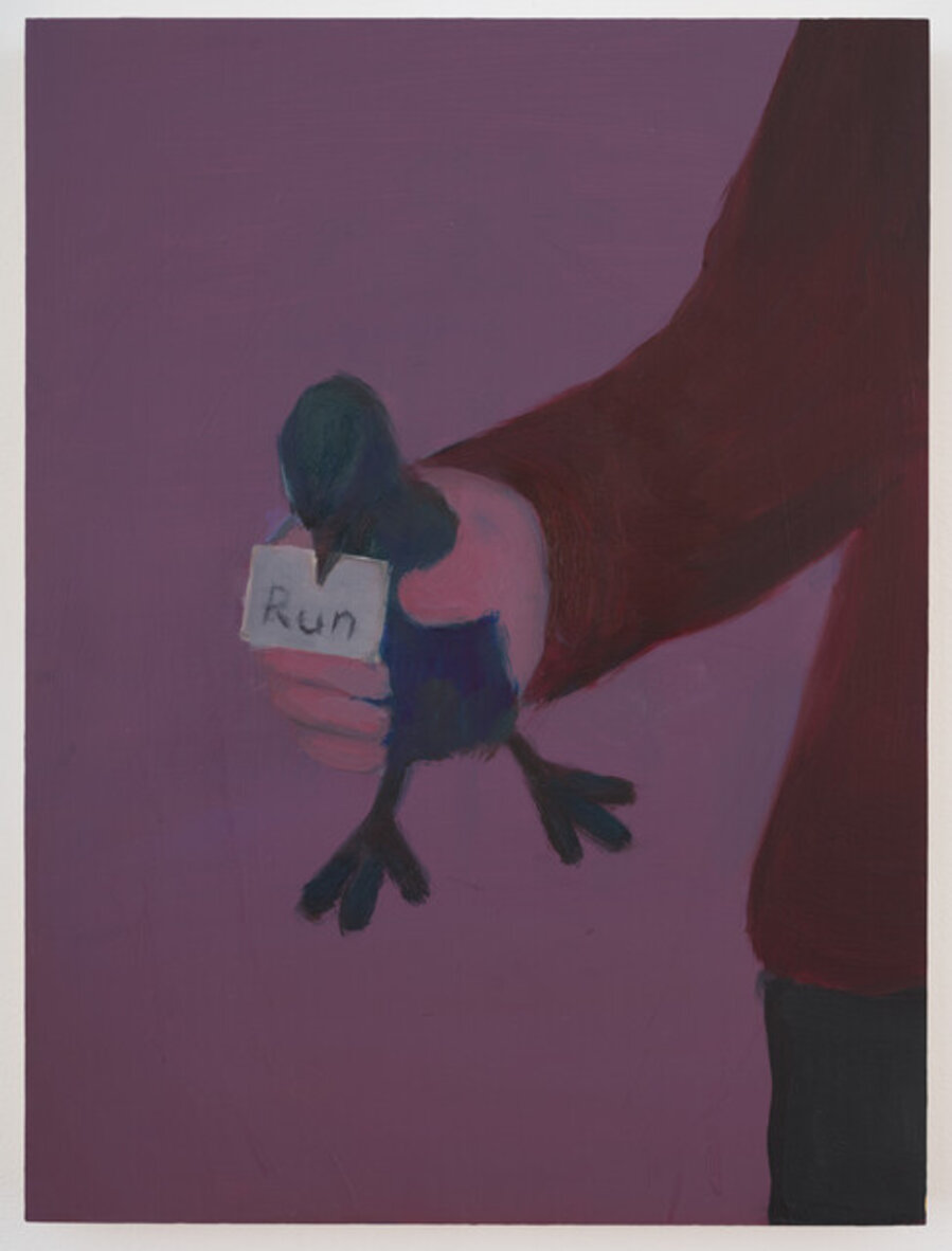 Blue Bird Message