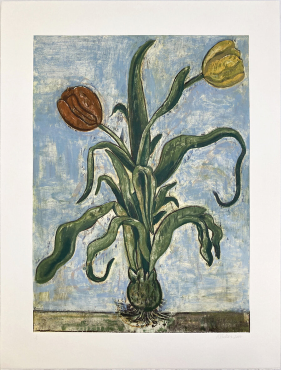 Tulips XV