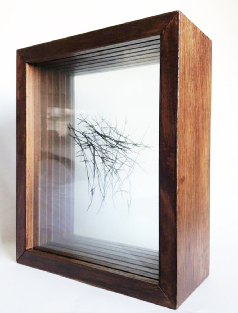 Arbre de vie