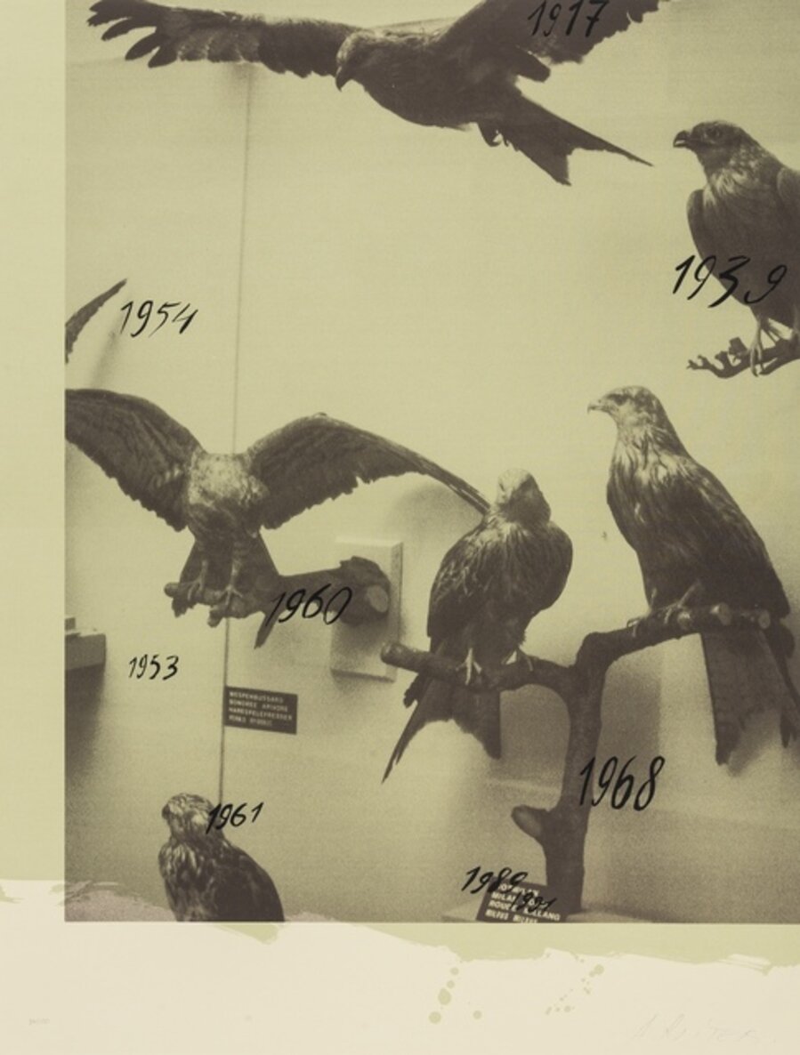 Hawks (from Columbus: In Search of a New Tomorrow)