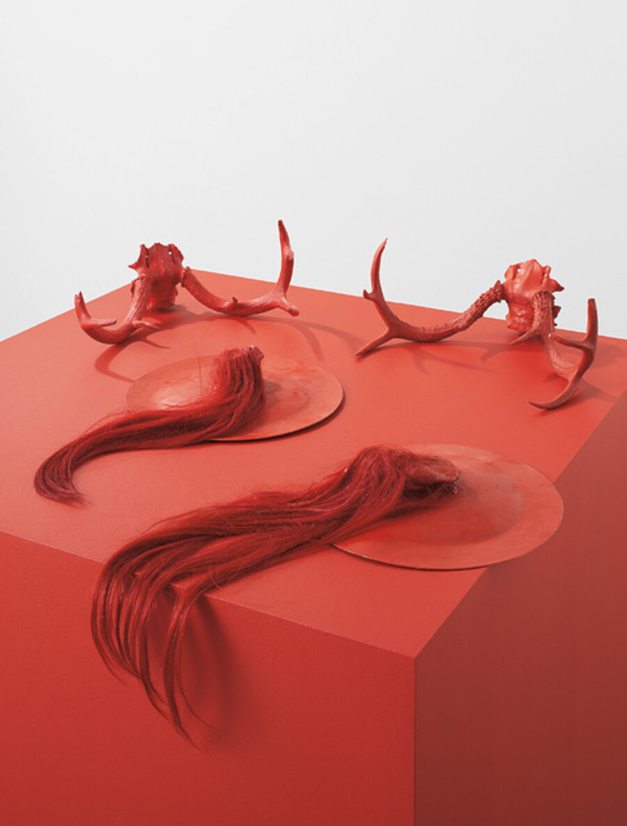 Zhang zyi Buddha fly earth (Anedote/Penedote)