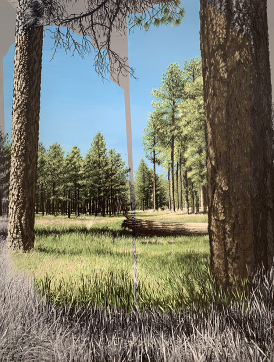 Nexus-Coconino, Arizona