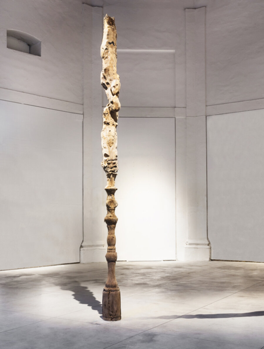 Lieve Legno
