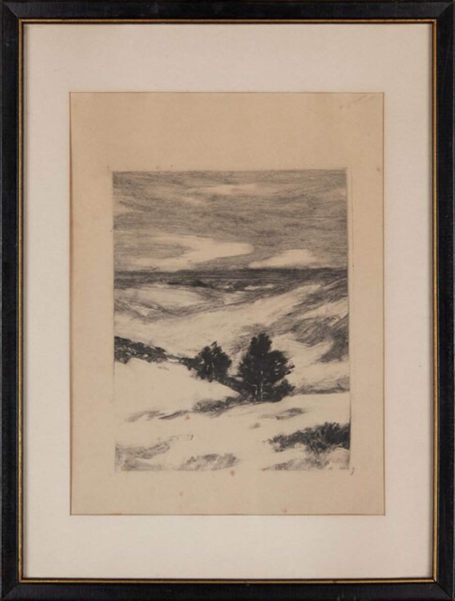 Landscape II