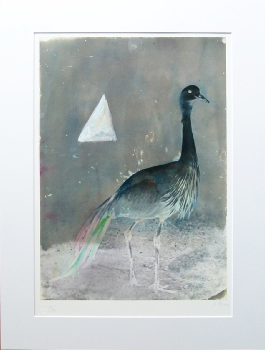 Heron with triangle