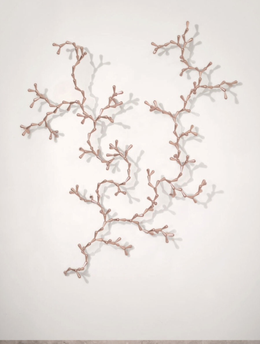 The Developed Seed (Pink 263)