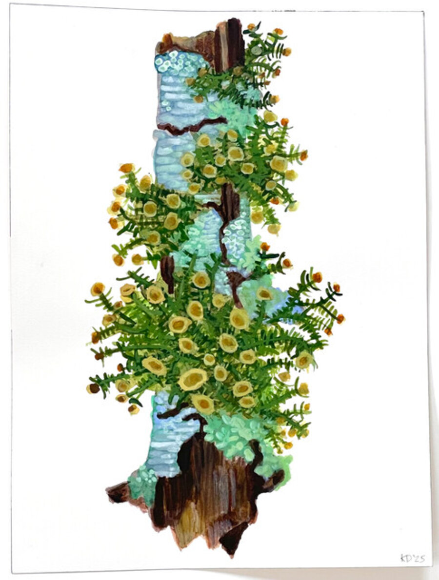 Little Limb lll